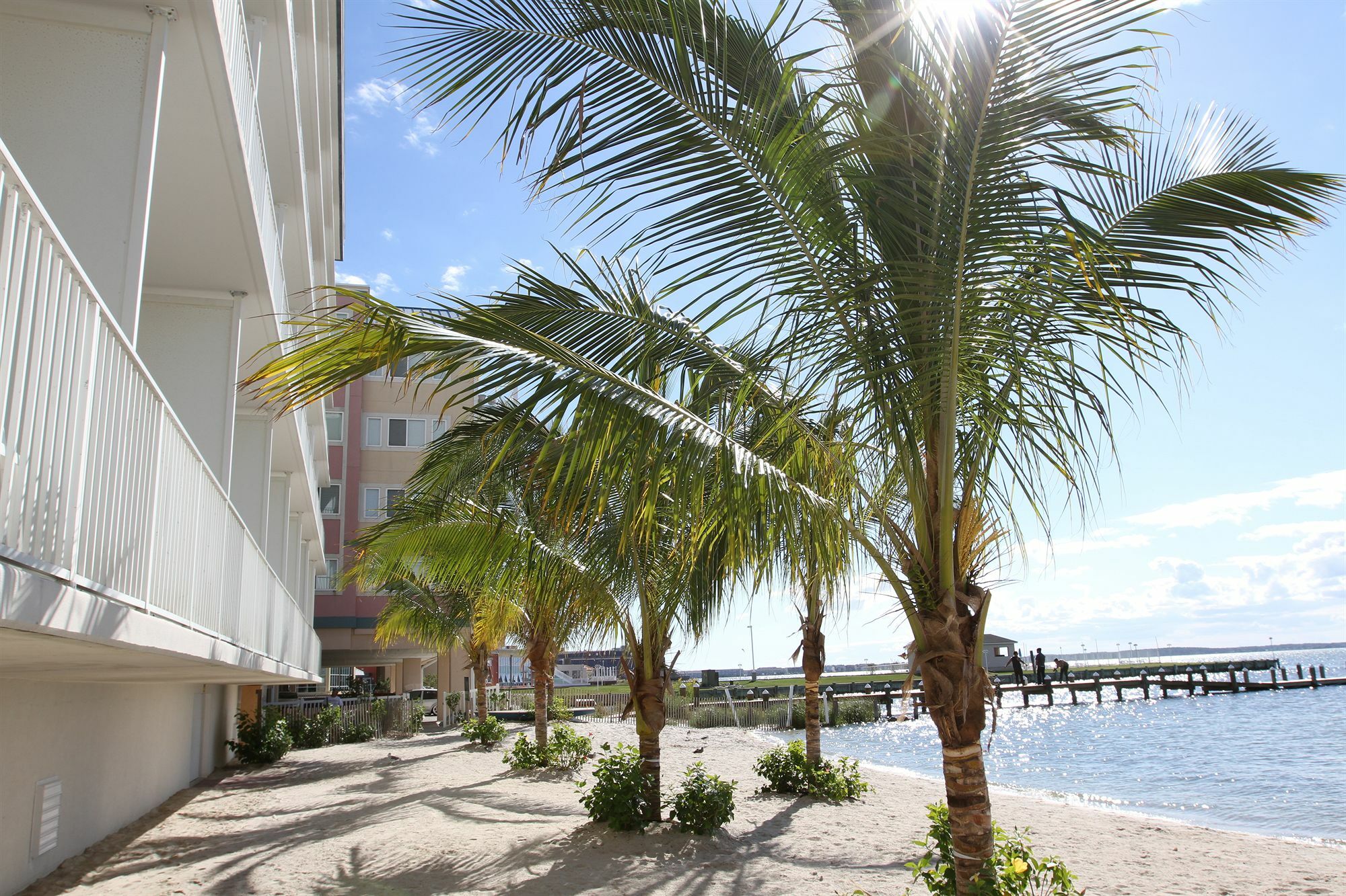 Princess Bayside Beach Hotel Ocean City Eksteriør billede